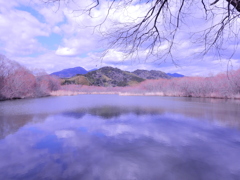 前回投稿したネッシー詐欺写真に