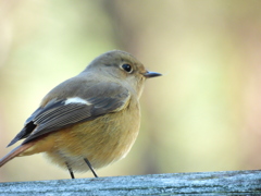 山頂付近の駐車場にて 山頂付近の駐車場にて