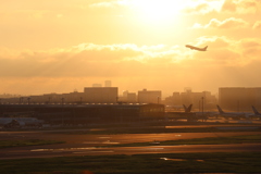 羽田空港