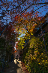 御岳山
