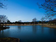 池と空