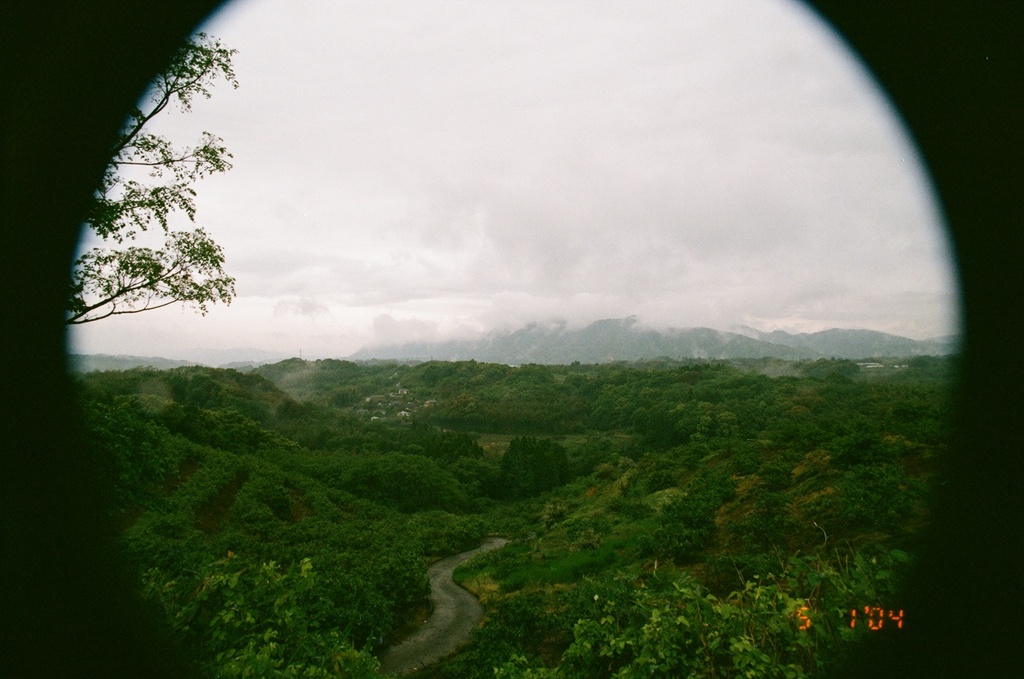 山の中