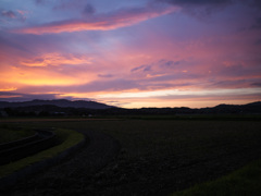 玉名平野の夕焼け