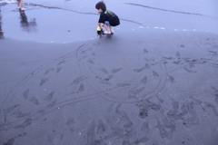 描いた軌跡