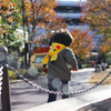休日の公園