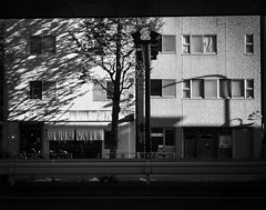 Monochrome【静と動】