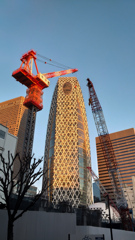 コクーンタワー