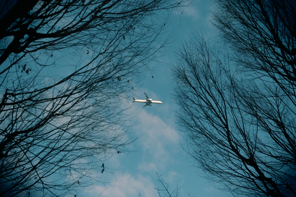 「飛行機」トイカメラ風