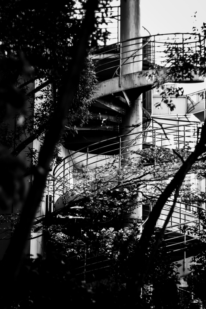 Monochrome 4【螺旋階段】
