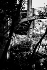 Monochrome 4【螺旋階段】