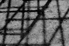 Monochrome【影模様】