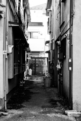 Monochrome 2