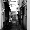 Monochrome 2
