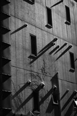 Monochrome 5【陰影】