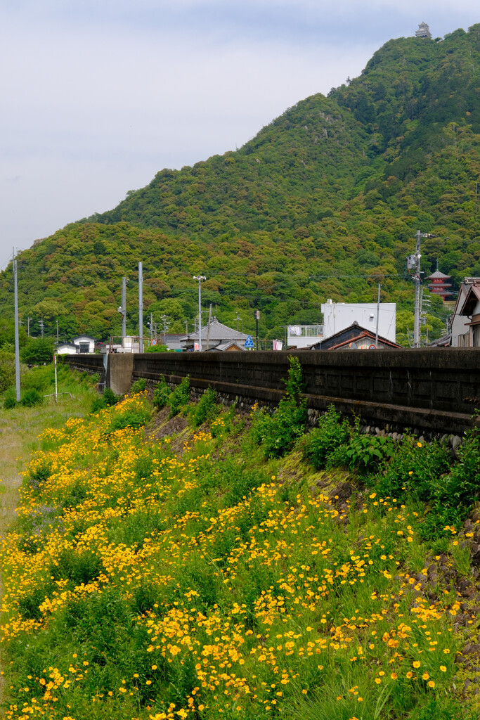 遠くの山城