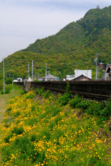 遠くの山城