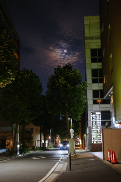 擬似満月の夜