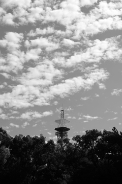 アンテナ アンテナ