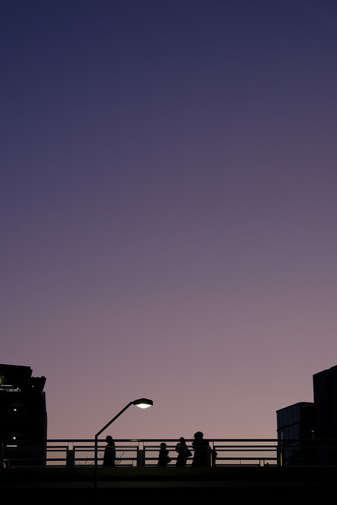 夕方のシルエット