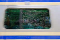 窓の春 1