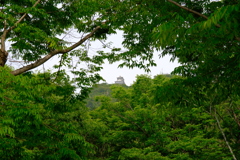 山城