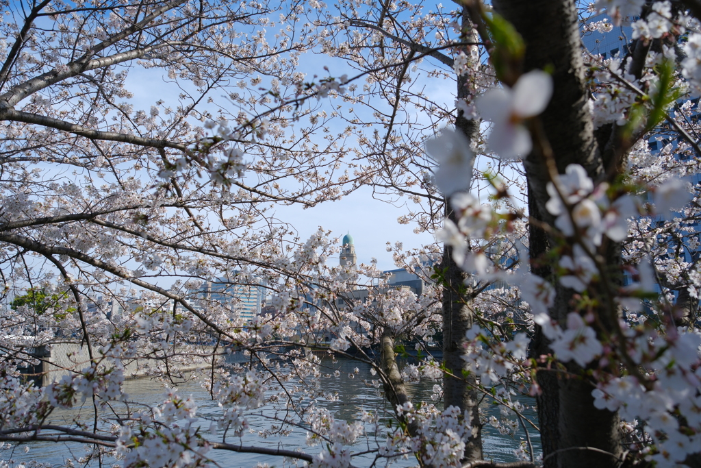 横浜税関タワー