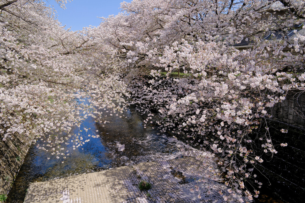 恩田川