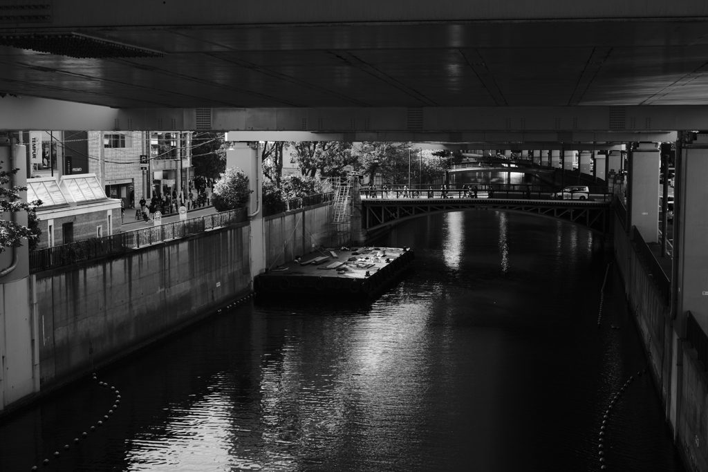 首都高と中村川