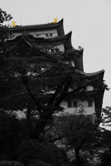 金の鯱