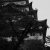 金の鯱
