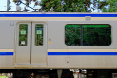 窓の春 2