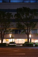 夜歩く