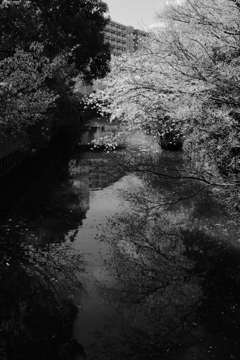 川面