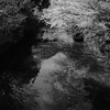 川面