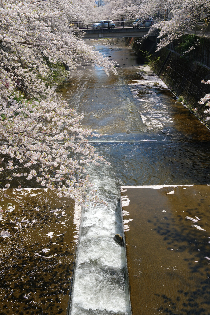 恩田川