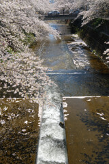 恩田川