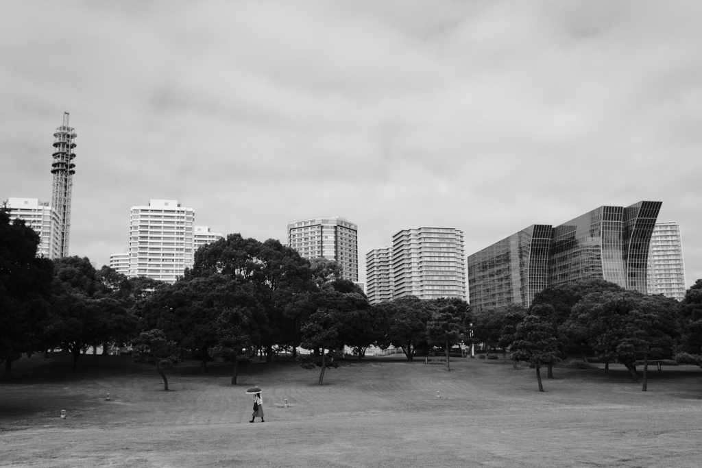 公園の朝