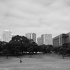 公園の朝