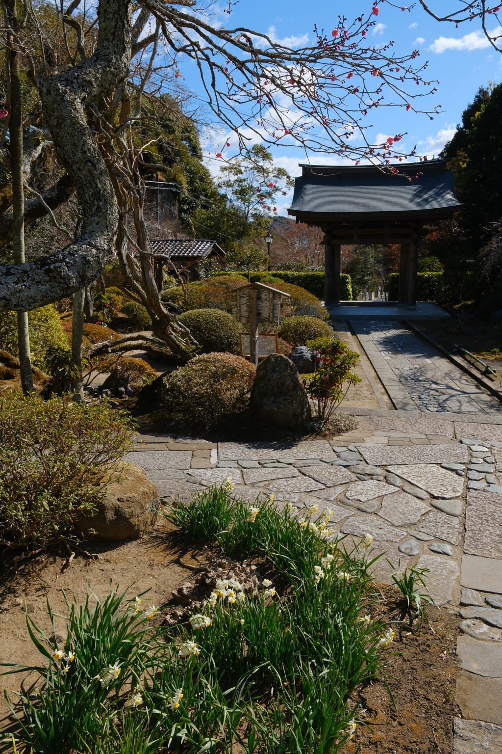 海蔵寺