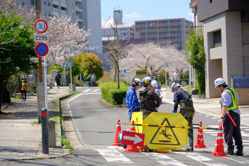 春の工事は長閑に