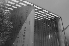 EXPO 2025 中国