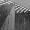 EXPO 2025 中国