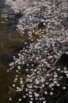 恩田川