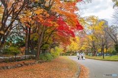 中島公園