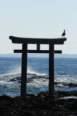鳥居と鳥