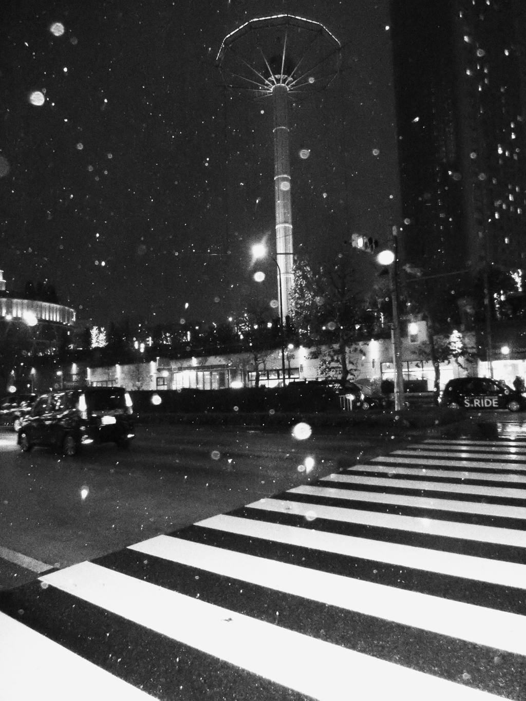 東京で輝く雪