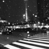 東京で輝く雪