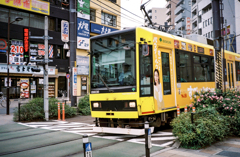 すごいよパウダールウ