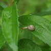 霧雨の朝