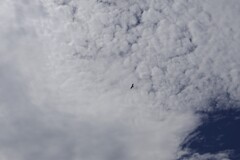 秋の雲